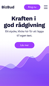 Alla website templates – Företagskonsultation