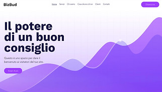 Template siti web Business - Consulenza aziendale (Grafica)