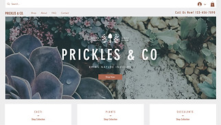 Webové šablony pro e-Shop – Obchod s rostlinami
