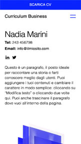 Portfolio e curriculum template – Curriculum per il tuo business