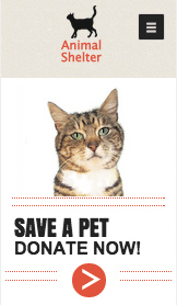 Mẫu trang web Thú cưng và Động vật – Trung tâm nuôi giữ động vật