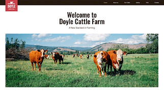Шаблон для сайта в категории «Бизнес» — Ферма