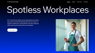 Services & Maintenance website templates - Cleaning Company (Bold)