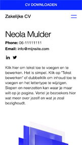 Portfolio en cv website templates - Zakelijk cv