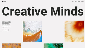 Portfolio & CV website templates - Brand Consultant Portfolio (Professional)