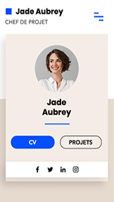 Templates de site web pour Portfolio et CV - CV professionnel