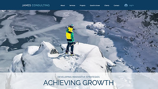 All website templates - Consulting