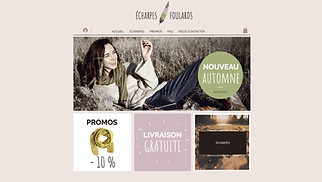Templates de sites web eCommerce - Boutique d'accessoires