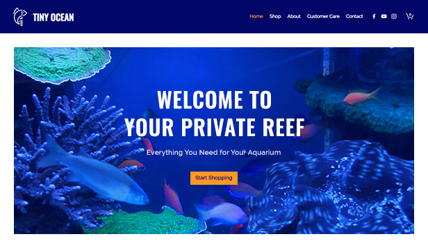 online fish supply store