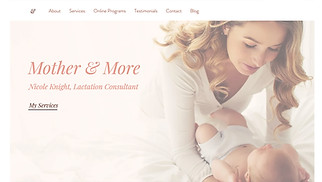Business website templates - Baby Consultant