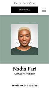 Portfolio e curriculum template – CV creativo 