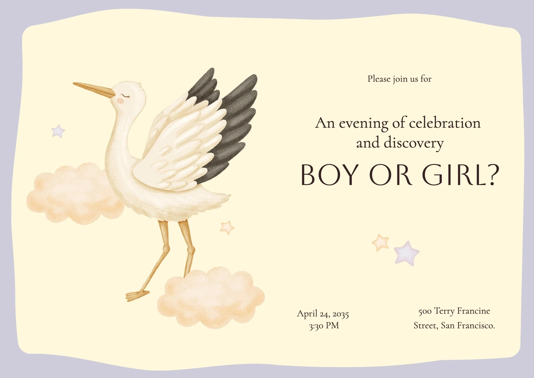 Modern Illustrative Gender Reveal Invitation