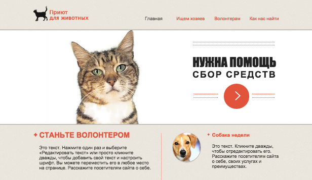 Создание свой сайт для кошек цены на создание сайтов москва цены