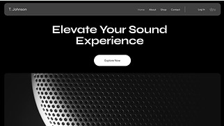 Technology & Apps website templates - Online Stereo Store (Stylish)