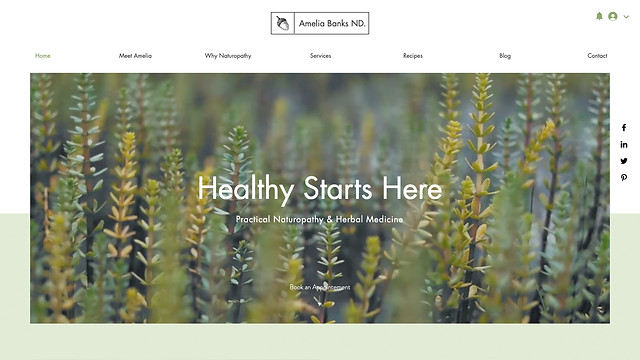 Health Wellness Website Templates Wix com Page 2
