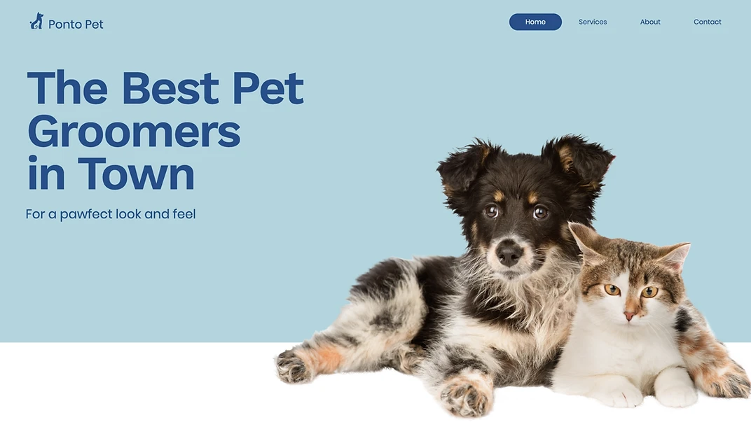 Pet Care Provider