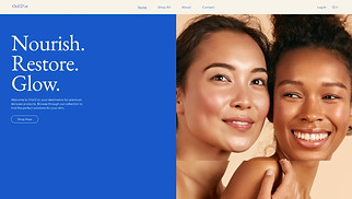 eCommerce website templates - Online Skin Care Store (Minimalist)