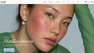 Beauty & Wellness website templates - Beauty Shop (Radiant)