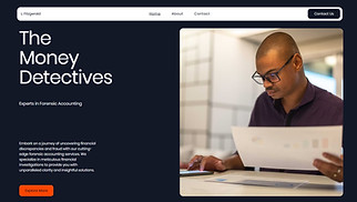 Finance website templates - Accountant (Striking)