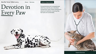 Szablony stron z dziedziny „Wszystko” - Veterinary (Inviting)