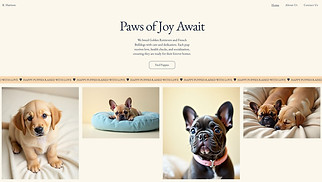  website templates - Dog Breeder (Warm)