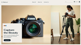 Electronics website templates - Camera Store (Artistic)
