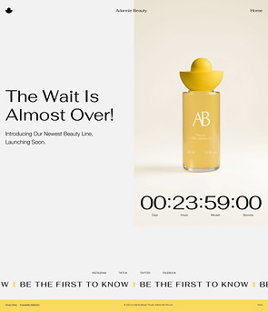 Product launch