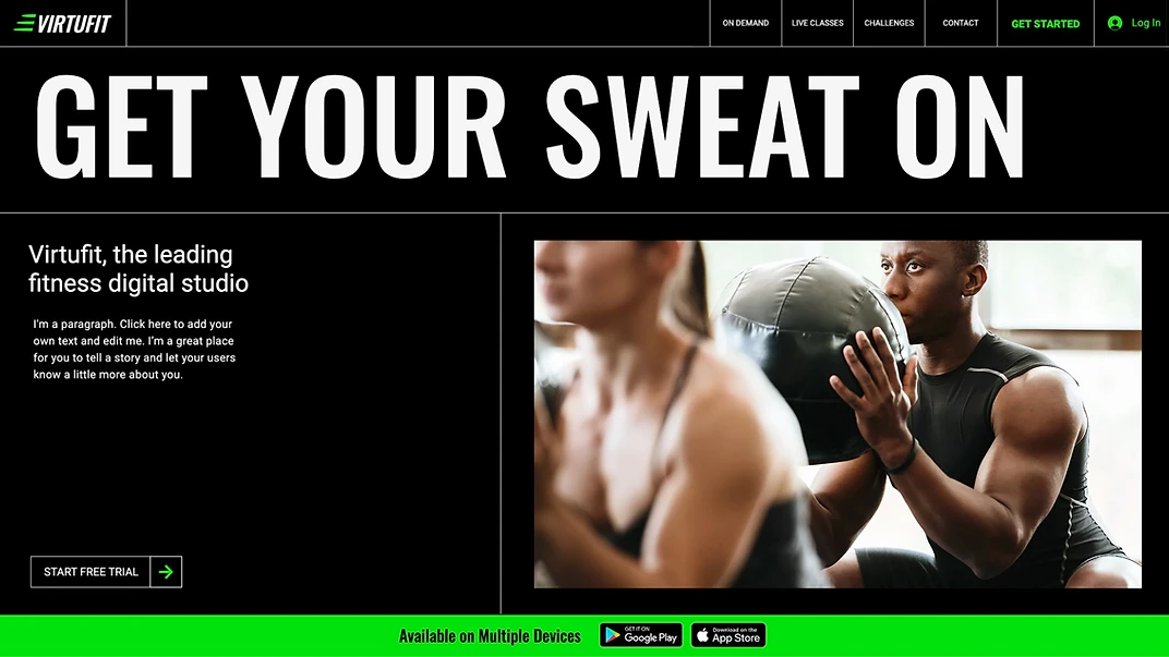 Online Fitness Programs