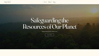  website templates - Non-Profit Organization (Organic)