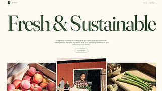 Food & Drinks website templates - Organic Fruit & Vegetable Delivery Service (Green)