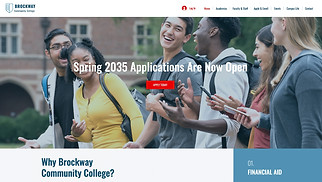 Шаблон для сайта в категории «Школы и университеты» — Колледж