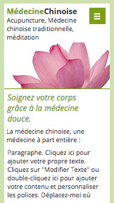 Templates de site web pour Santé et bien-être - Médecine alternative