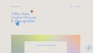 Portfolios website templates - Creative Director (Edgy)