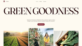 Restaurants & Food website templates - Organic Produce Delivery Service (Natural)