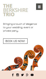 Mẫu trang web Ban nhạc – Nhạc sĩ sự kiện