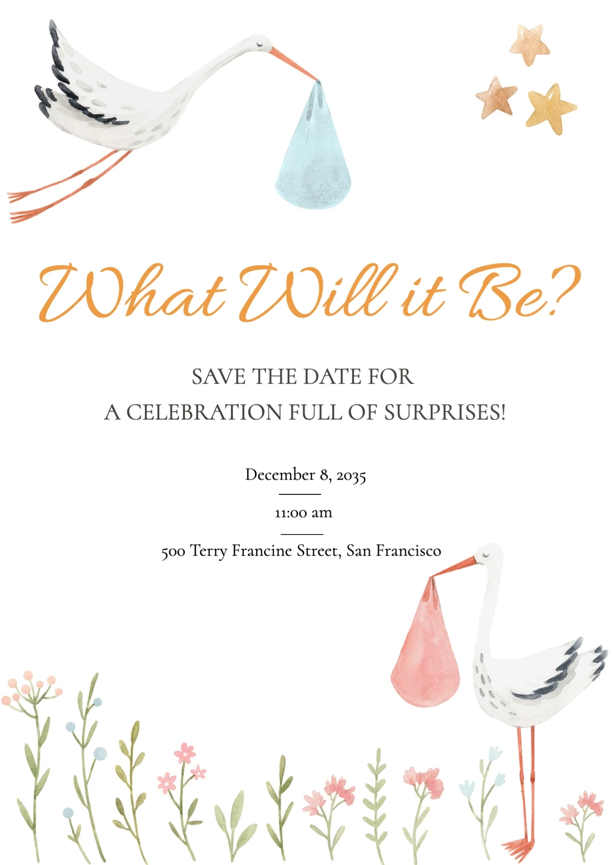 Cute Classic Illustrative Gender Reveal Invitation