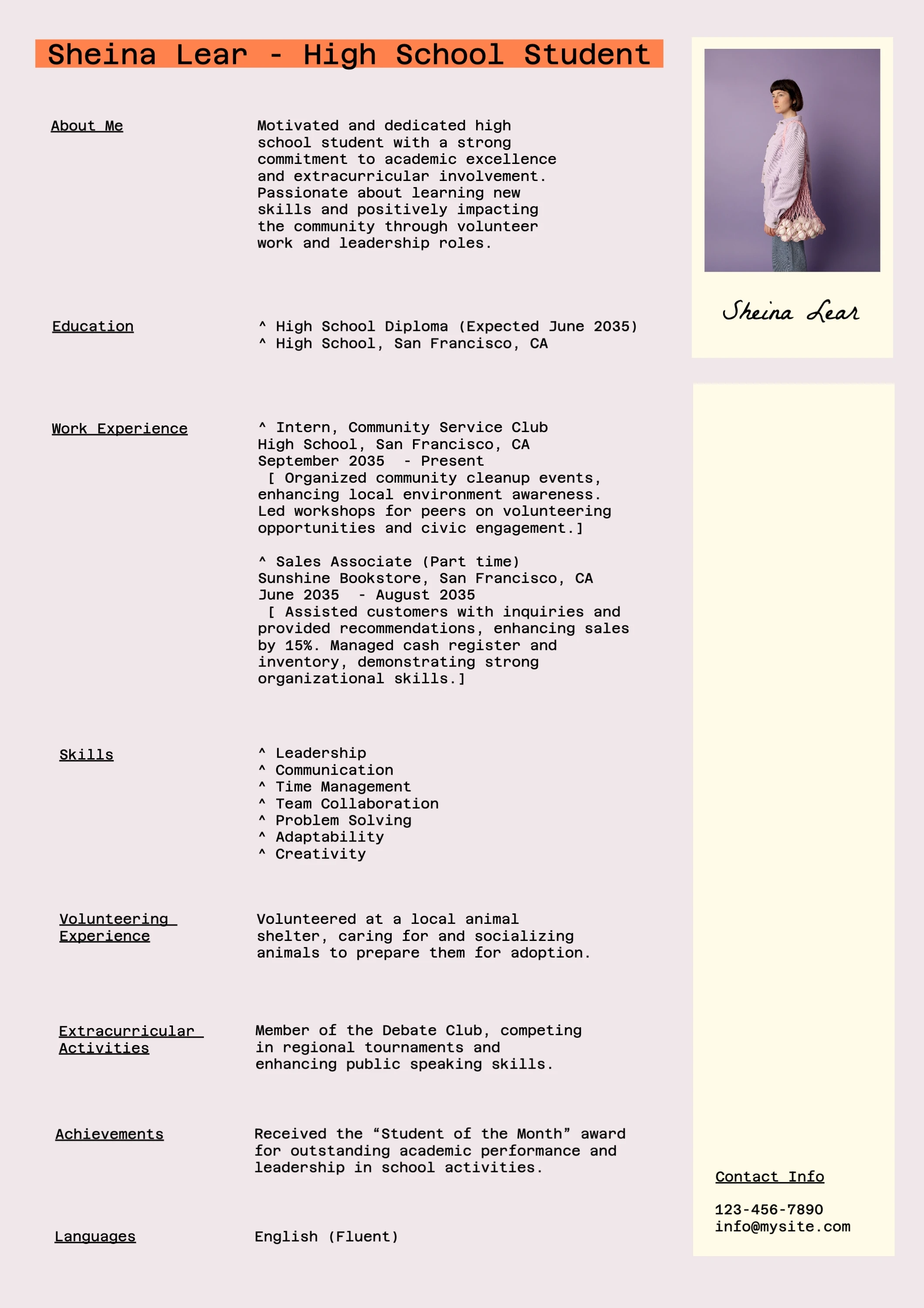 Bold Pastel High School Resume