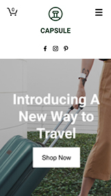 online luggage stores