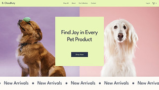 Pets & Animals website templates - Online Pet Supply Store (Colorful)