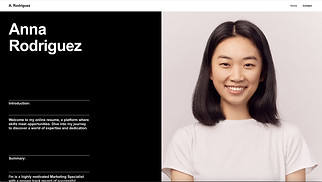 Portfolio & CV website templates - Online Resume (Clean)