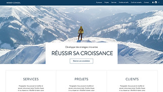 Templates de sites web Tous - Société de business consulting 