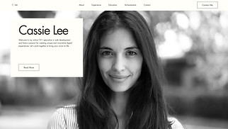 Portfolio & CV website templates - Online CV (Modern)