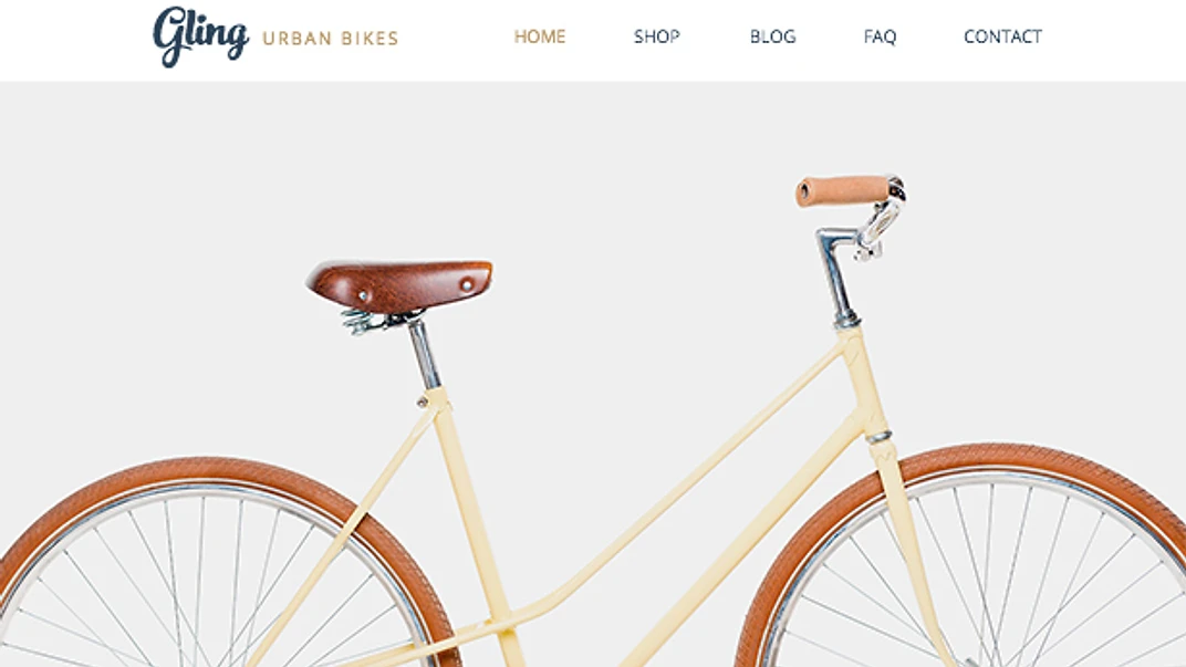 Sporting Goods Store