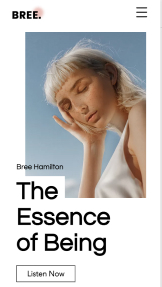 Mẫu trang web Ca sĩ và Nhạc sĩ – Nghệ sĩ âm nhạc