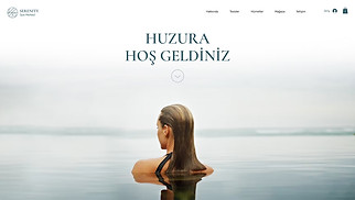 E-Ticaret site şablonları - Spa