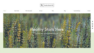 Mẫu trang web Sức khỏe và Thể chất - Chuyên gia trị liệu thay thế