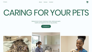 Pets & Animals website templates - Veterinarian (Professional)