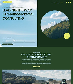 Environmental Consulting