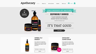 Beauty en haar website templates - Wellness winkel