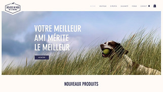 Templates de sites web Boutiques en ligne - Nourriture pour animaux de compagnie